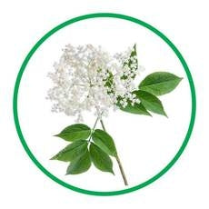 ELDERFLOWER Natural Flavour 30ml - Cake Decorating Central