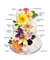 Standard Tulip Silicon Veiner Set - Cake Decorating Central