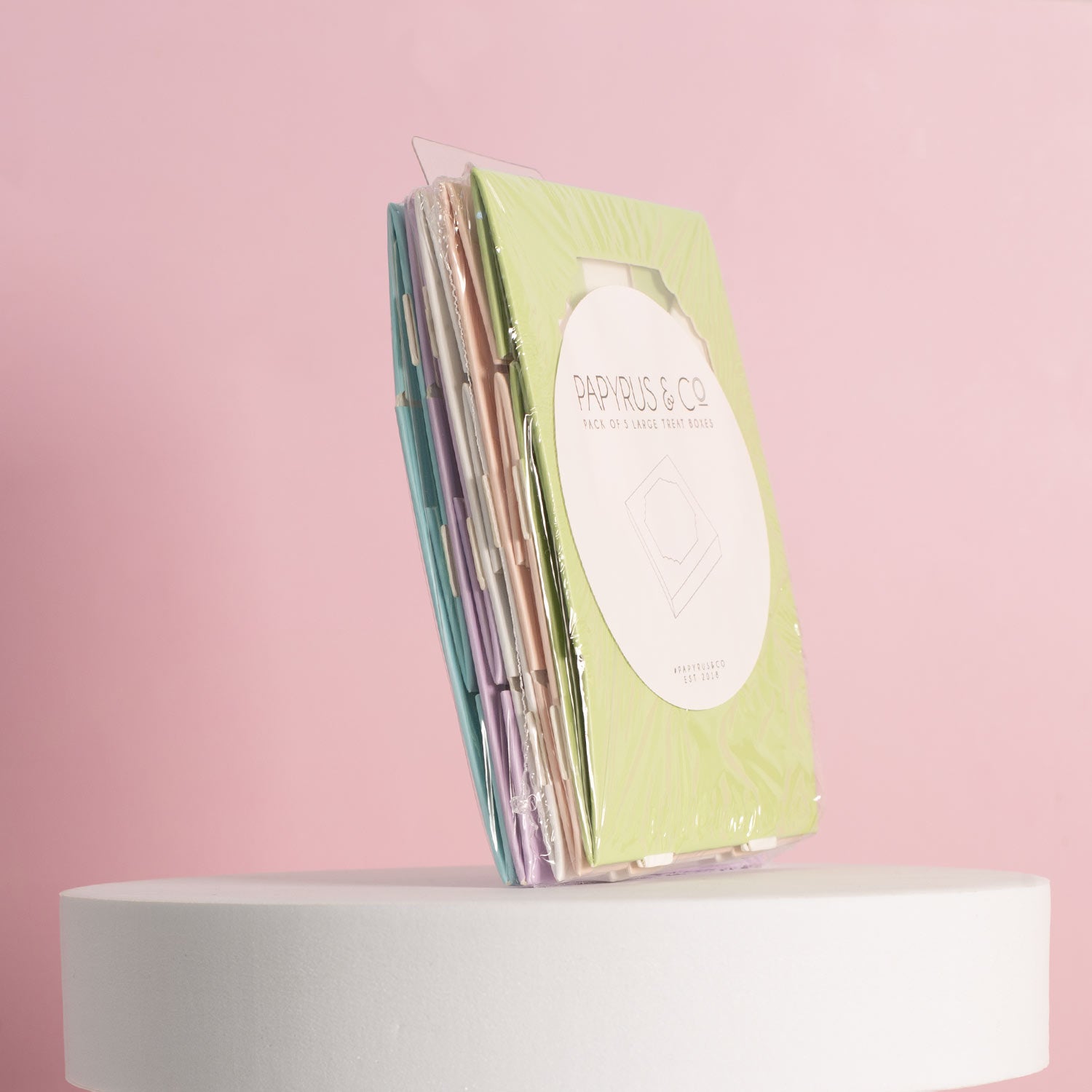 Scalloped Mixed Colour Small Treat Box 5pk