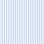Blue Pinstripe Edible Image Template