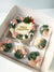 Christmas Buttercream Bento Box with Dulce Trio - Sunday 17 Dec - Campbelltown