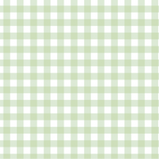 Mint Gingham Edible Image Template
