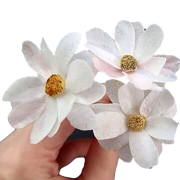 Edible Image Printing Melbourne and Sydney