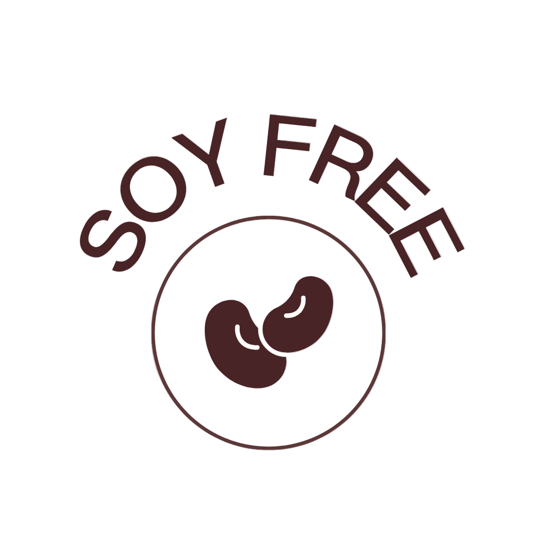 Sugar Decorations CHRISTMAS 3D FIGURES 6 PIECE