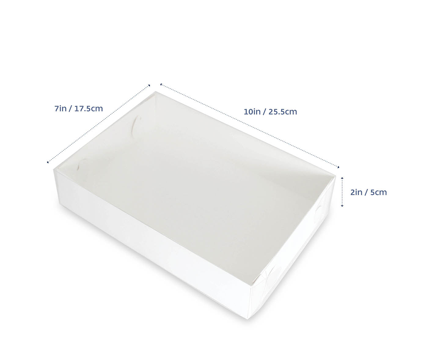 Biscuit Box with Clear Lid - 25.5cmx17.5cmx5cm