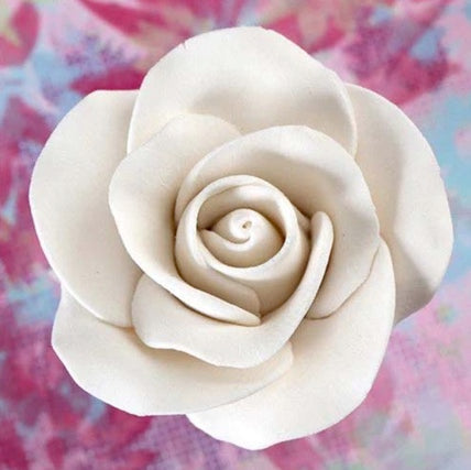 Sugar Tea Rose Medium WHITE