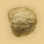 Lustre Blend Champagne10ml