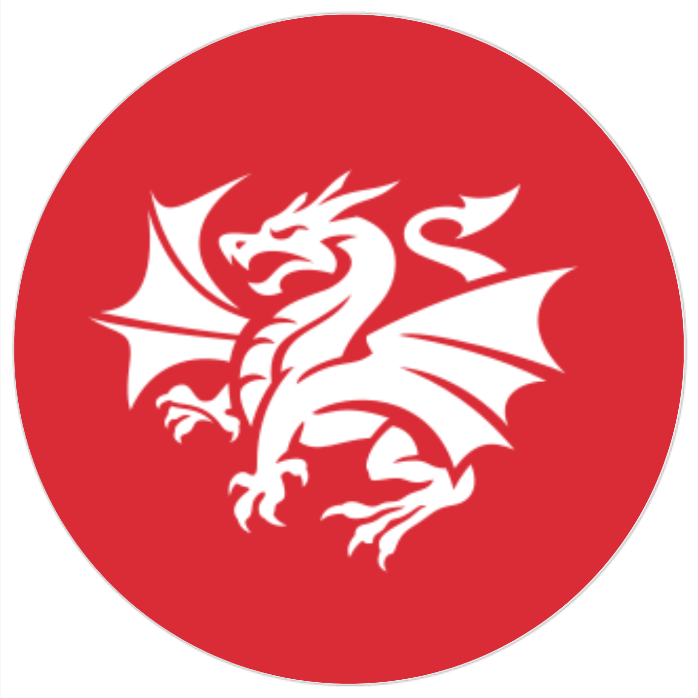 Dragons Logo 8 Inch Round Edible Images