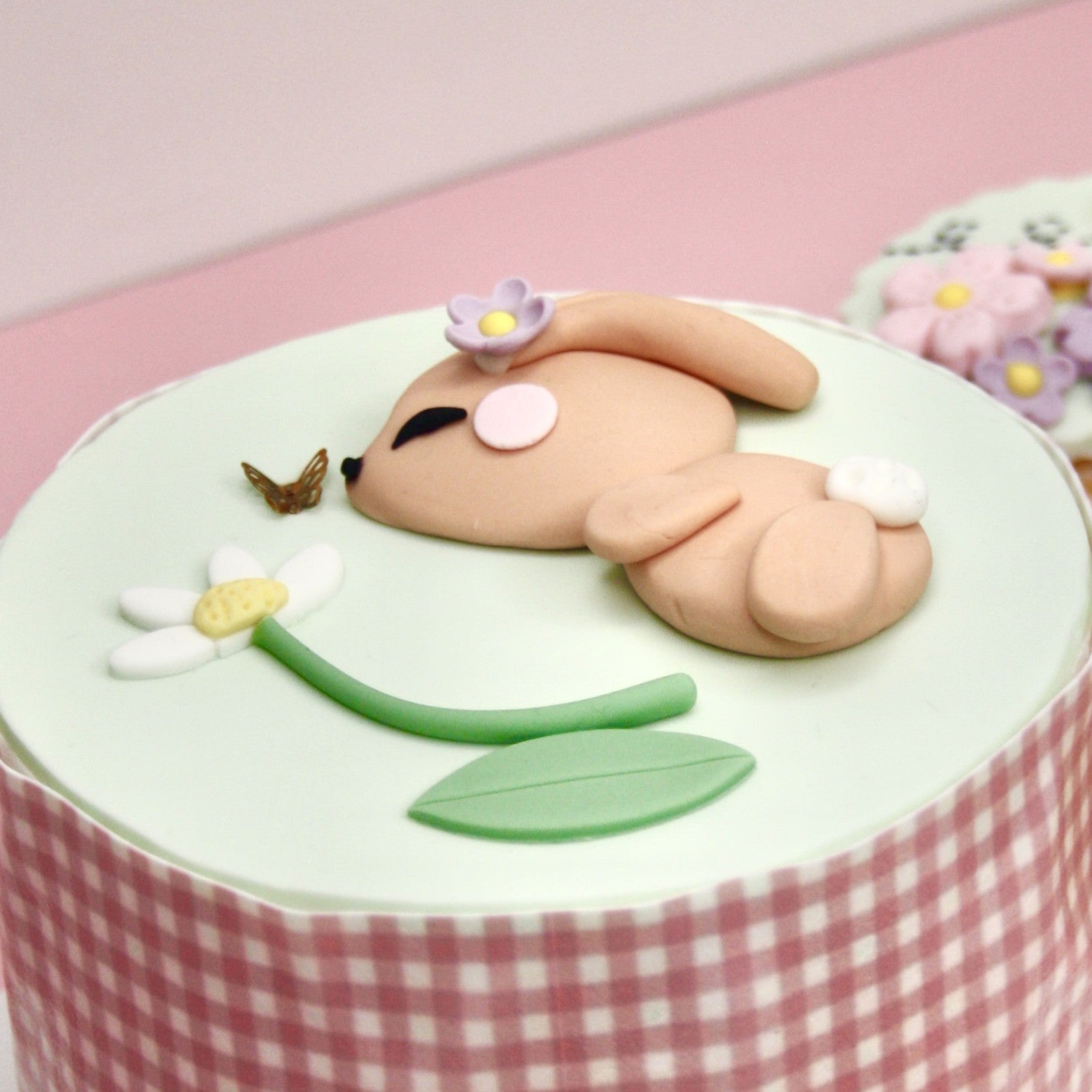 Easter Fondant Bento Box, Beginner, Saturday 28 March, Campbelltown