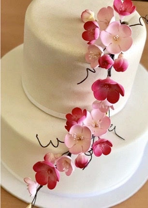 Cherry Blossom Spray HOT PINK