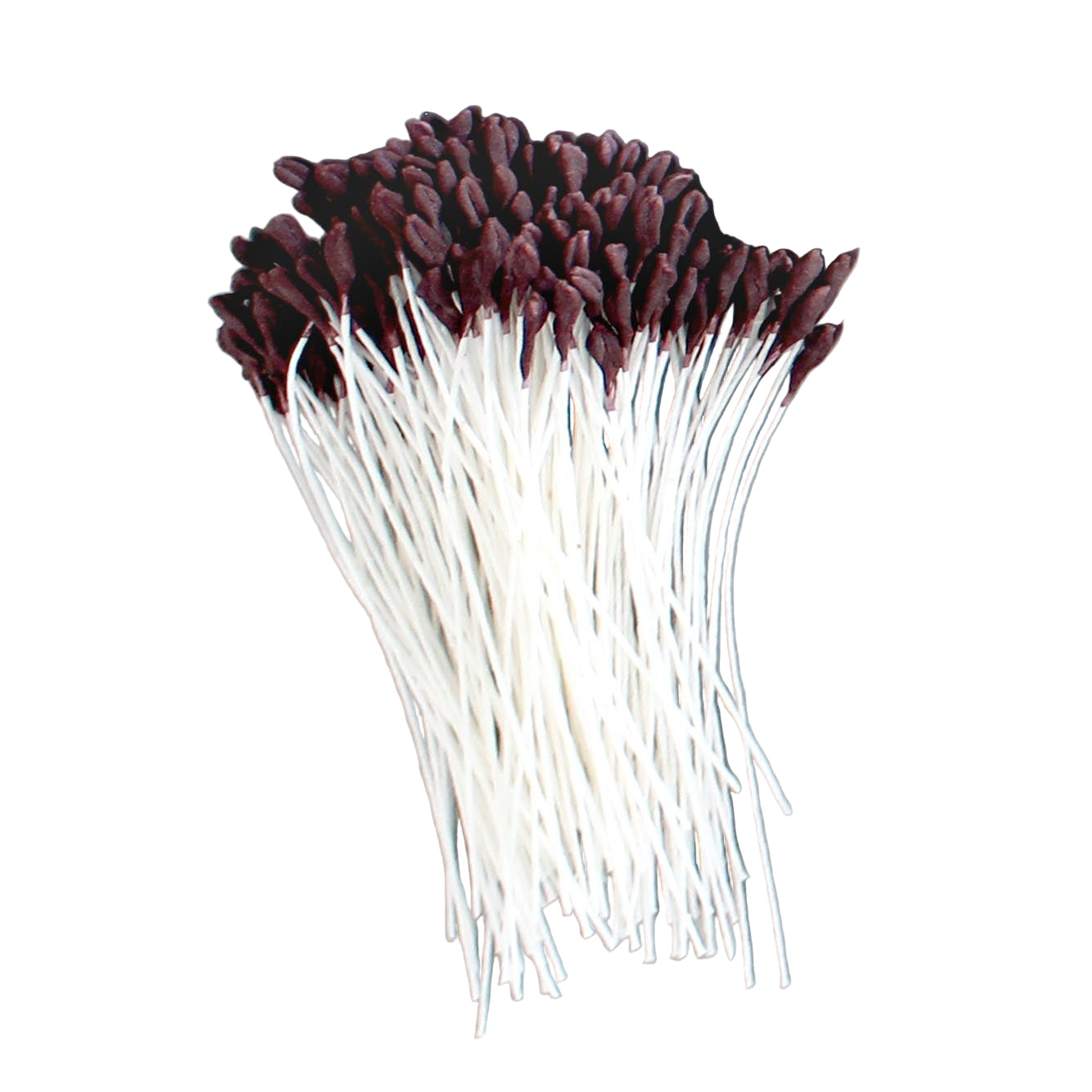 Loyal Stamens LILY BROWN SMALL