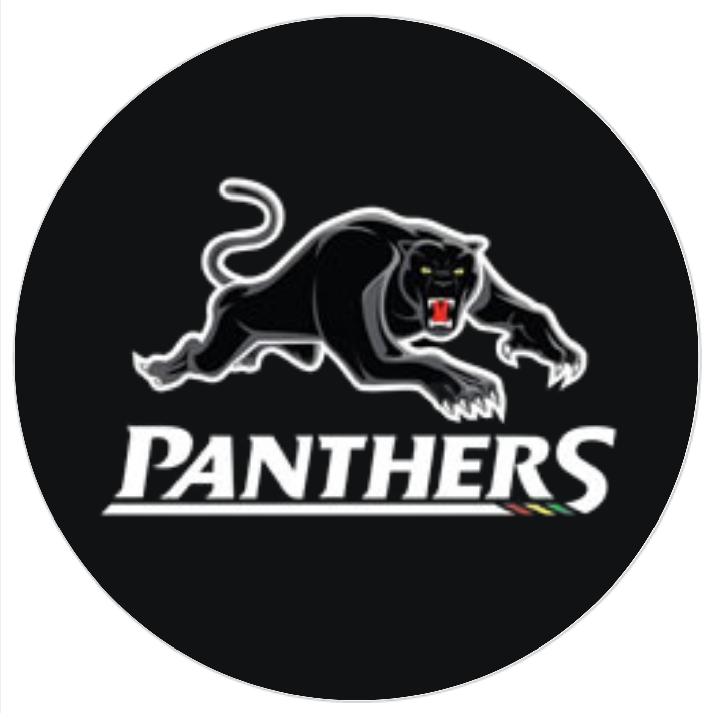 Panthers Logo 8 Inch Round Edible Images