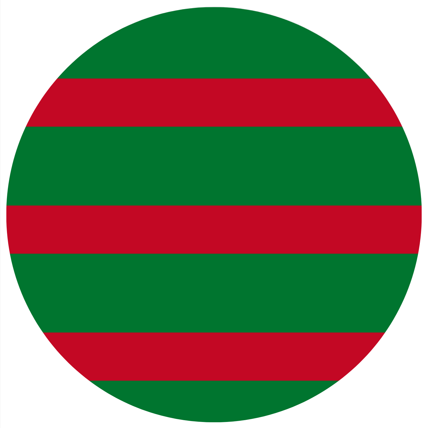 Rabbitohs Footy Stripes 8 Inch Round Edible Images