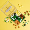 Sprinkles SPORTS BALLS FAVOURITES Box (95g)