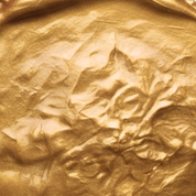 Metallic Paint Blend Champagne