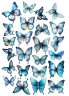 BLUE BUTTERFLIES 24 PCE WAFER PAPER (2)