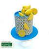 Katy Sue Citrus Fruit Silicone Mould