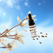 Natural Vanilla Flavour 15ml