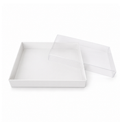 Biscuit Box with Clear Lid - 32cmx25cmx5cm