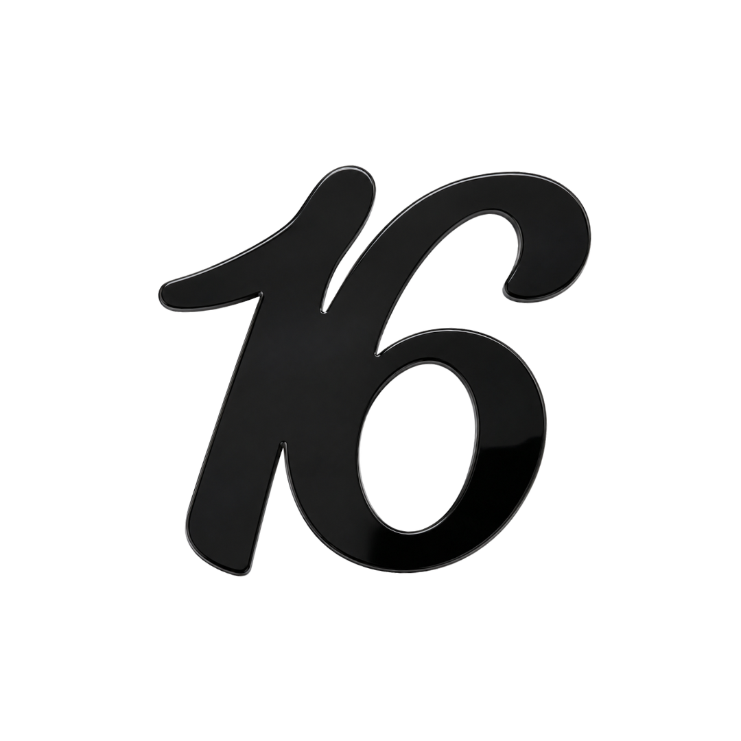 Number 16 Black 7cm Acrylic Cake Fropper