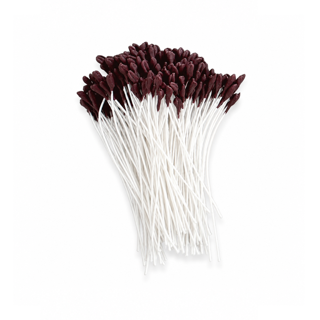 Stamens Lily Small Brown