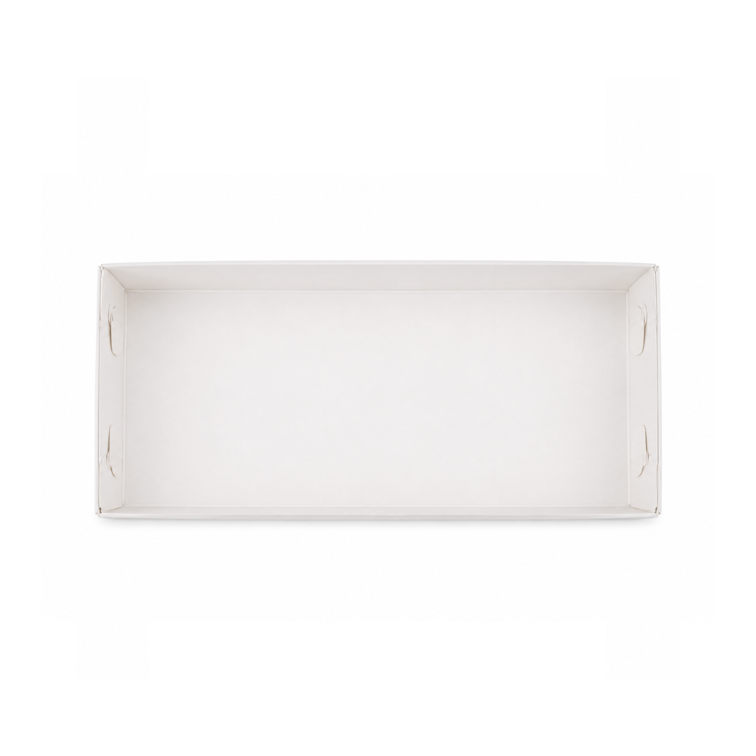 Biscuit Box with Clear Lid - 22.5cmx11.5cmx4cm