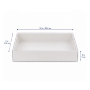 Biscuit Box with Clear Lid - 25.5cmx17.5cmx5cm