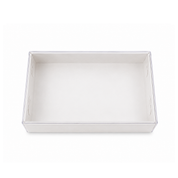 Biscuit Box with Clear Lid - 25.5cmx17.5cmx5cm