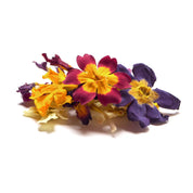 Petite Ingredient Australian Dried Edible Primrose