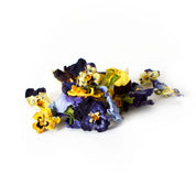 Petite Ingredient Australian Dried Edible Viola