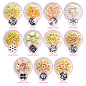 Russian Piping Tip set of 13