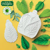 Flower Pro Sunflower / Daisy Leaves Silicone Mould and Veiner