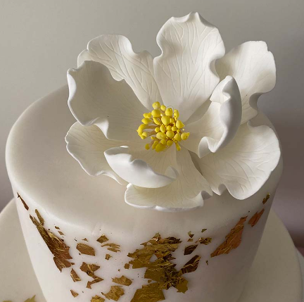 Sugar Open Peony Yellow Centre Large