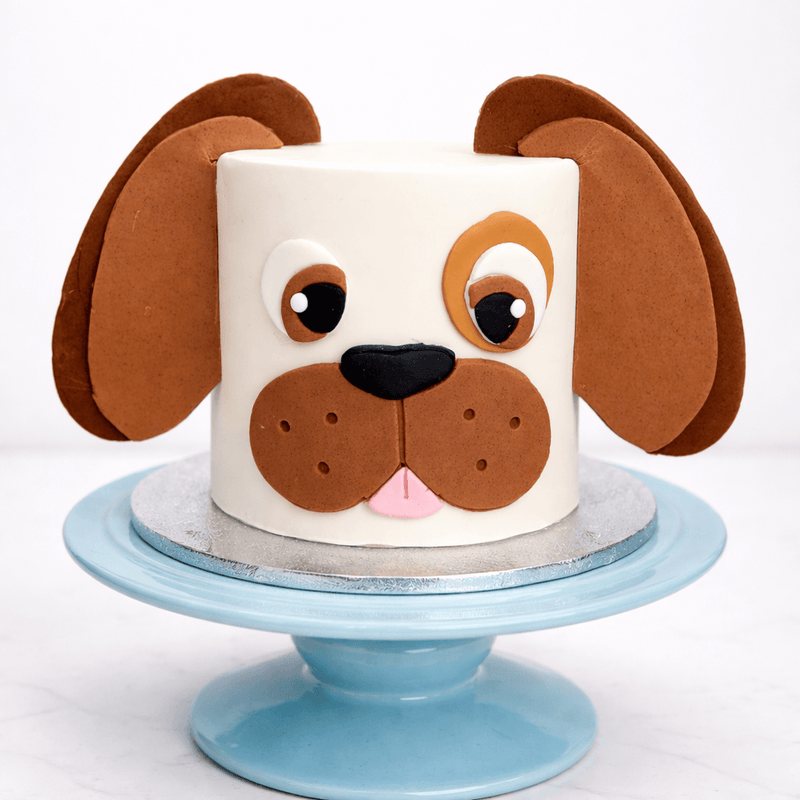 Puppy Dog Cake Class