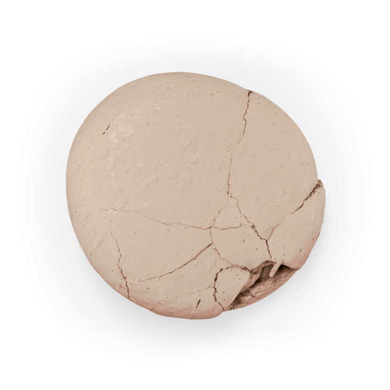 Colour Mill Aqua LATTE 20ml