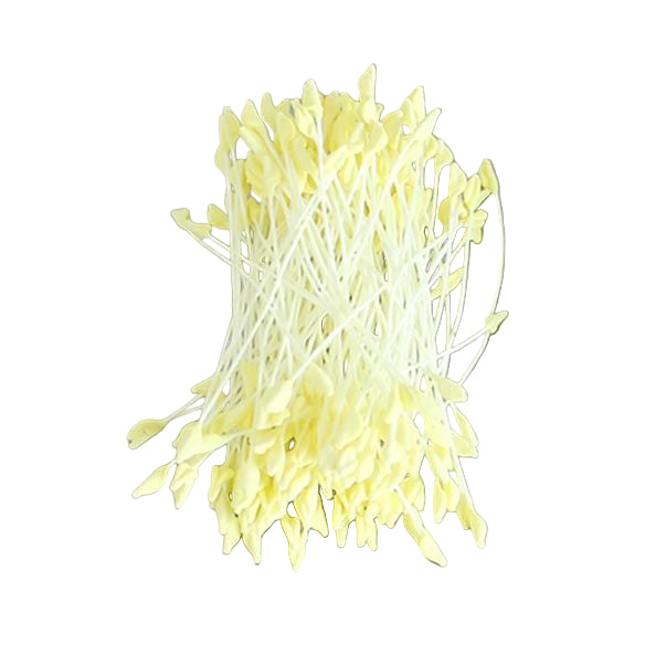 Loyal Stamens HAMMERHEAD Yellow