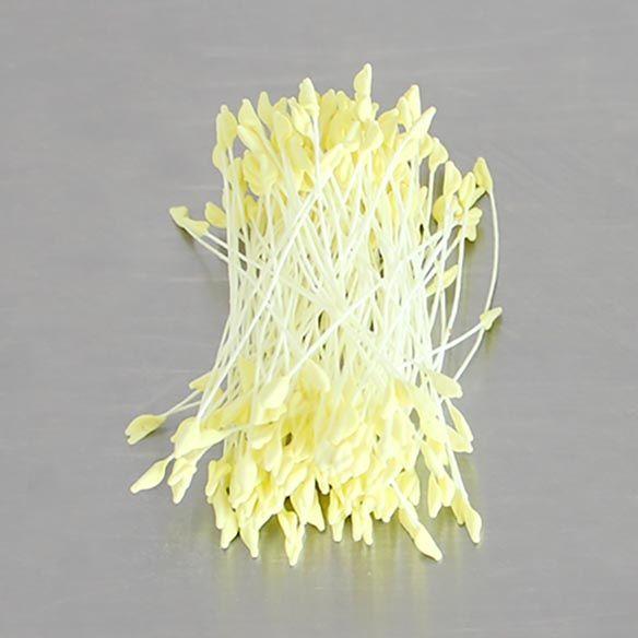 Loyal Stamens HAMMERHEAD Yellow