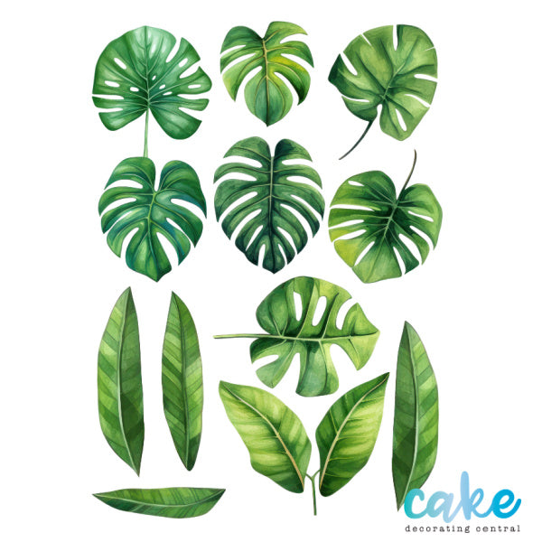 PALM LEAVES WAFER PAPER