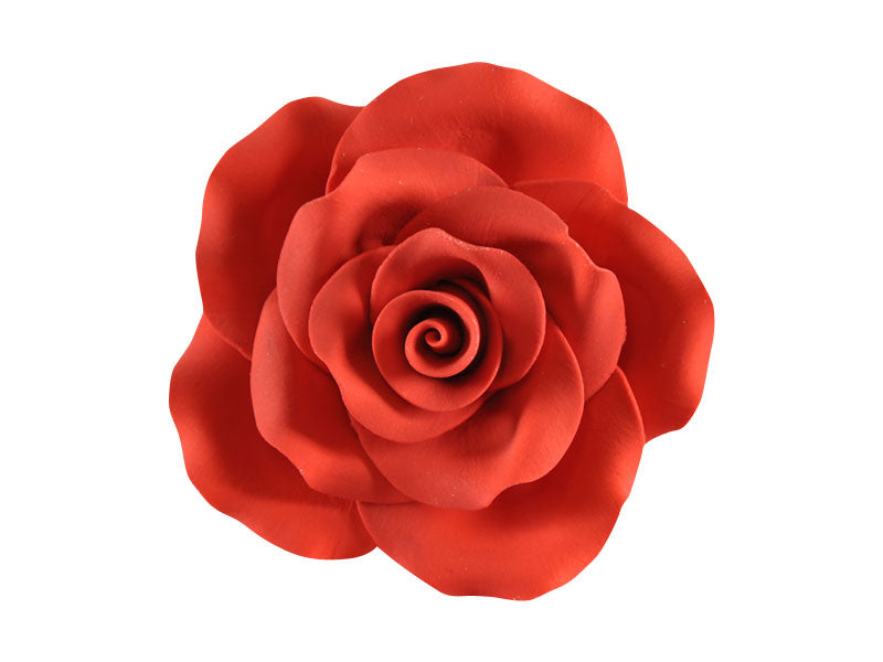 Sugar Old Fashion Rose RED