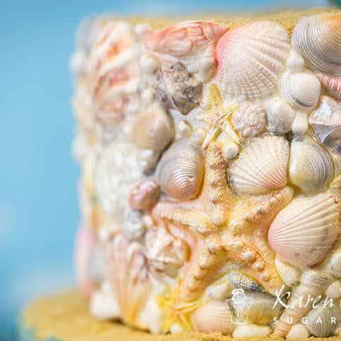Sugar Shells Mould