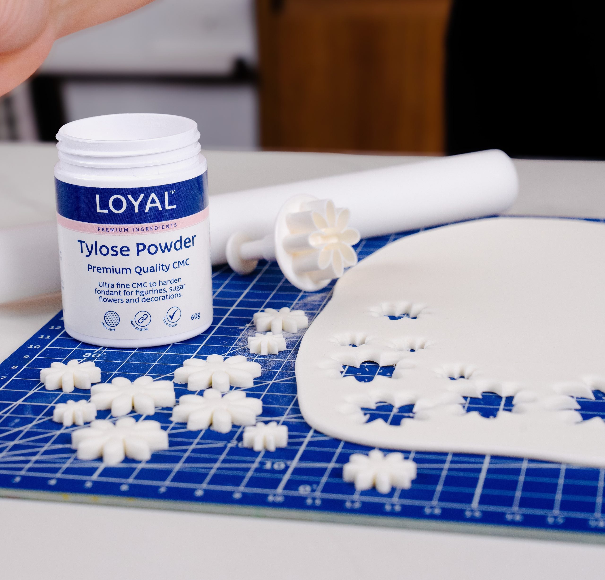 Loyal Tylose 60g