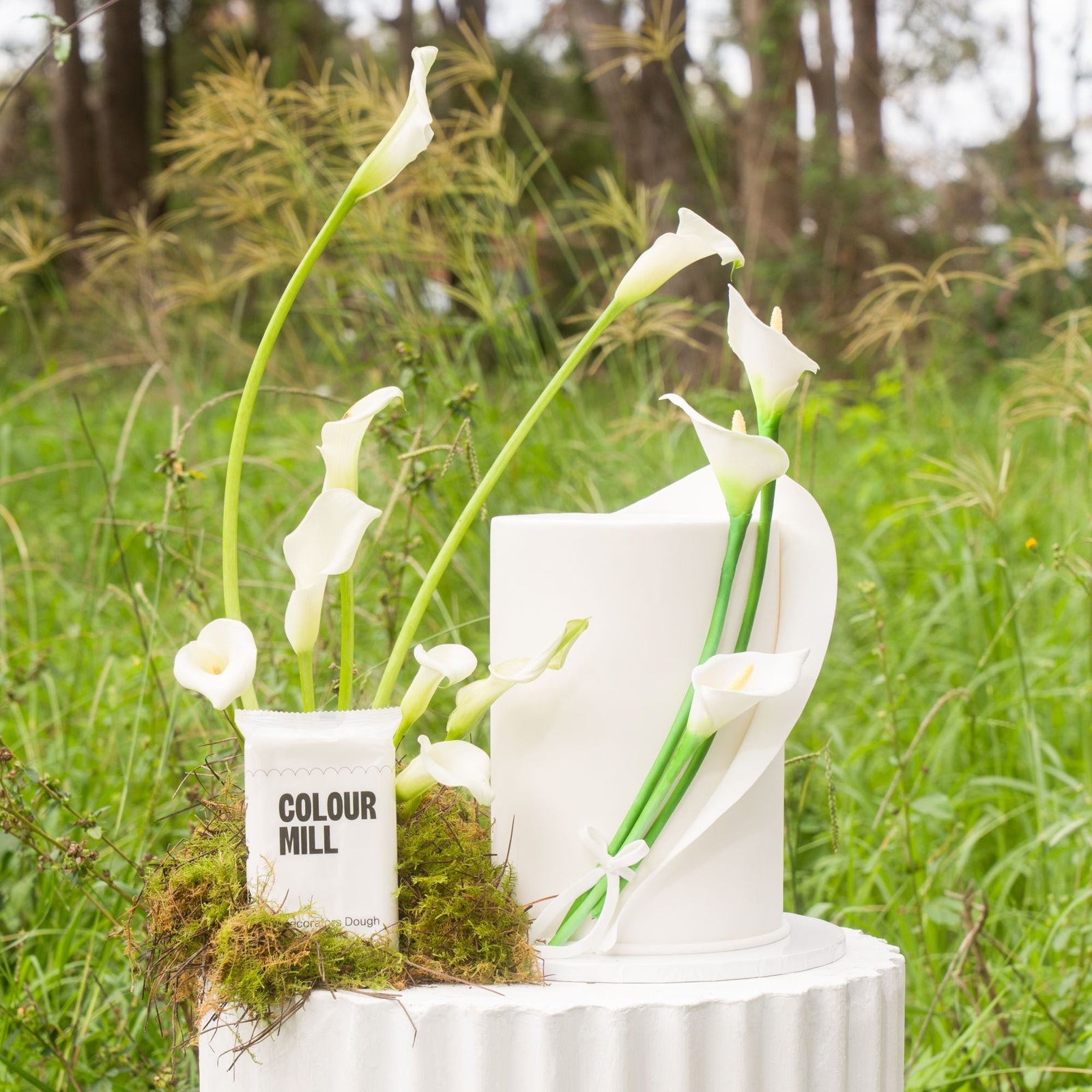 Decorators Dough White 250G