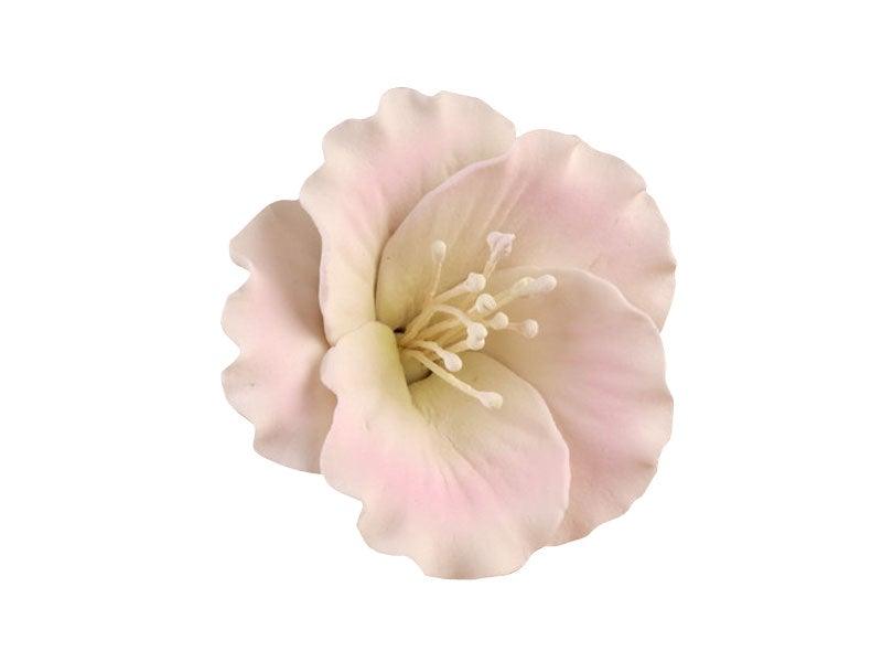 Azalea Gumpaste PINK - Cake Decorating Central