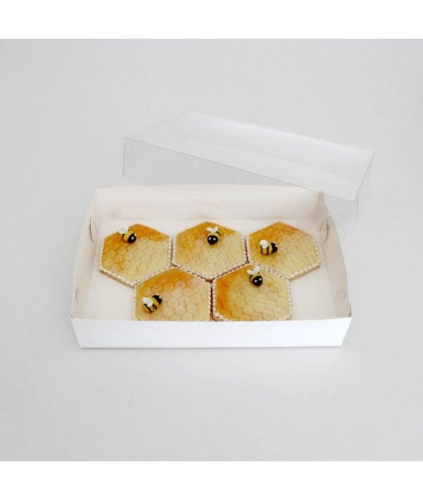 Biscuit Box with Clear Lid - 25.5cmx17.5cmx5cm