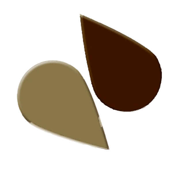 BONZA BROWN Paste Icing Colour - Cake Decorating Central