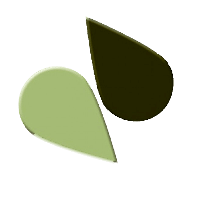 BUSH GREEN Paste Icing Colour - Cake Decorating Central