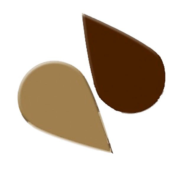 CHOCOLATE BROWN Paste Icing Colour - Cake Decorating Central