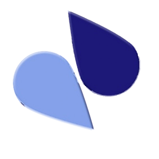 IRIS Paste Icing Colour