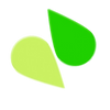 LIME GREEN Paste Icing Colour