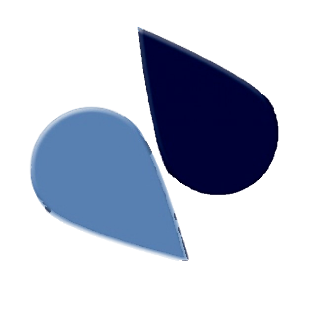 NAVY BLUE Paste Icing Colour